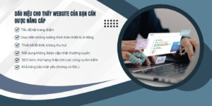 Nang cap sua chua web Binh Duong